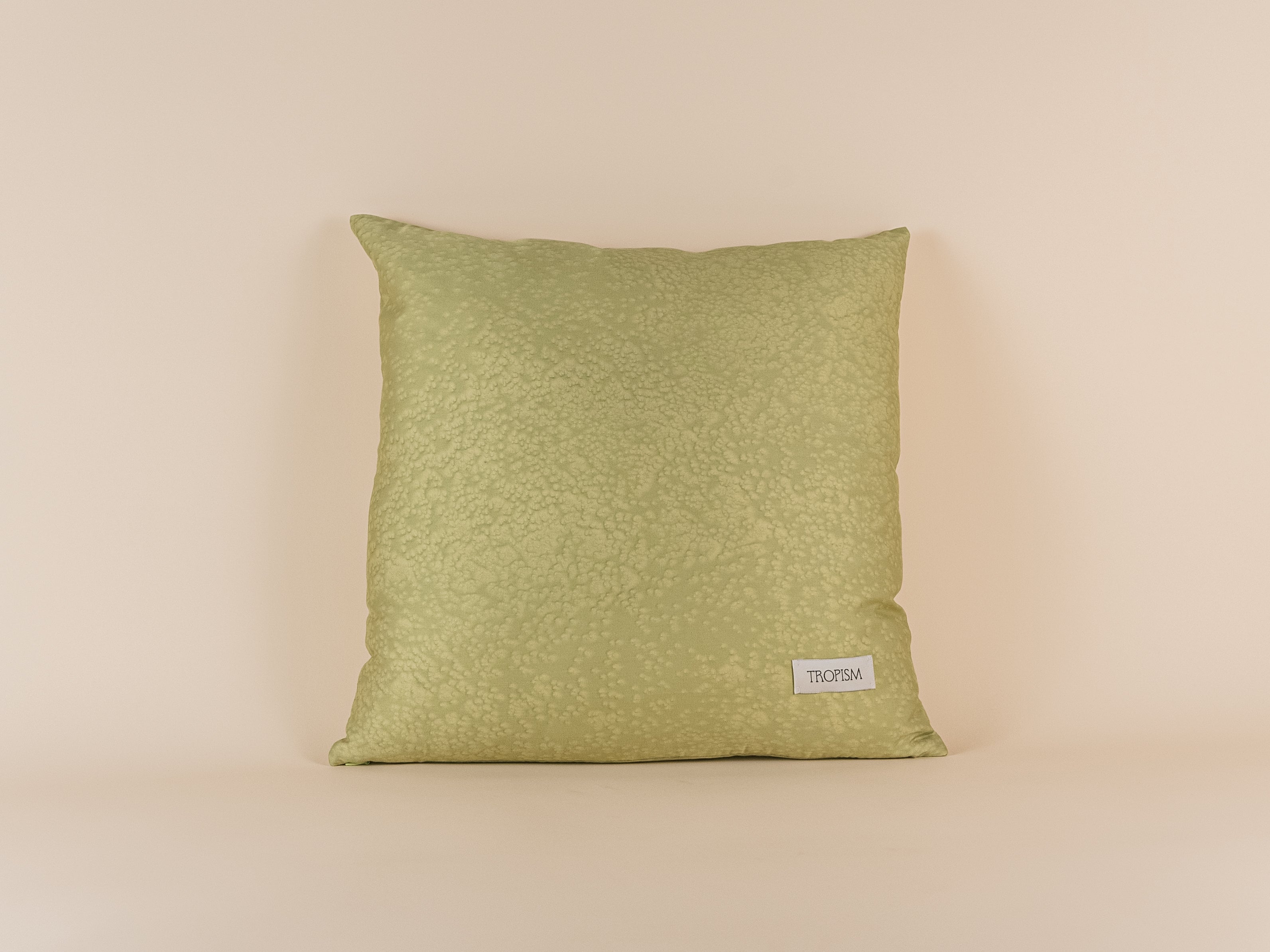 SALTED Batik Cushion