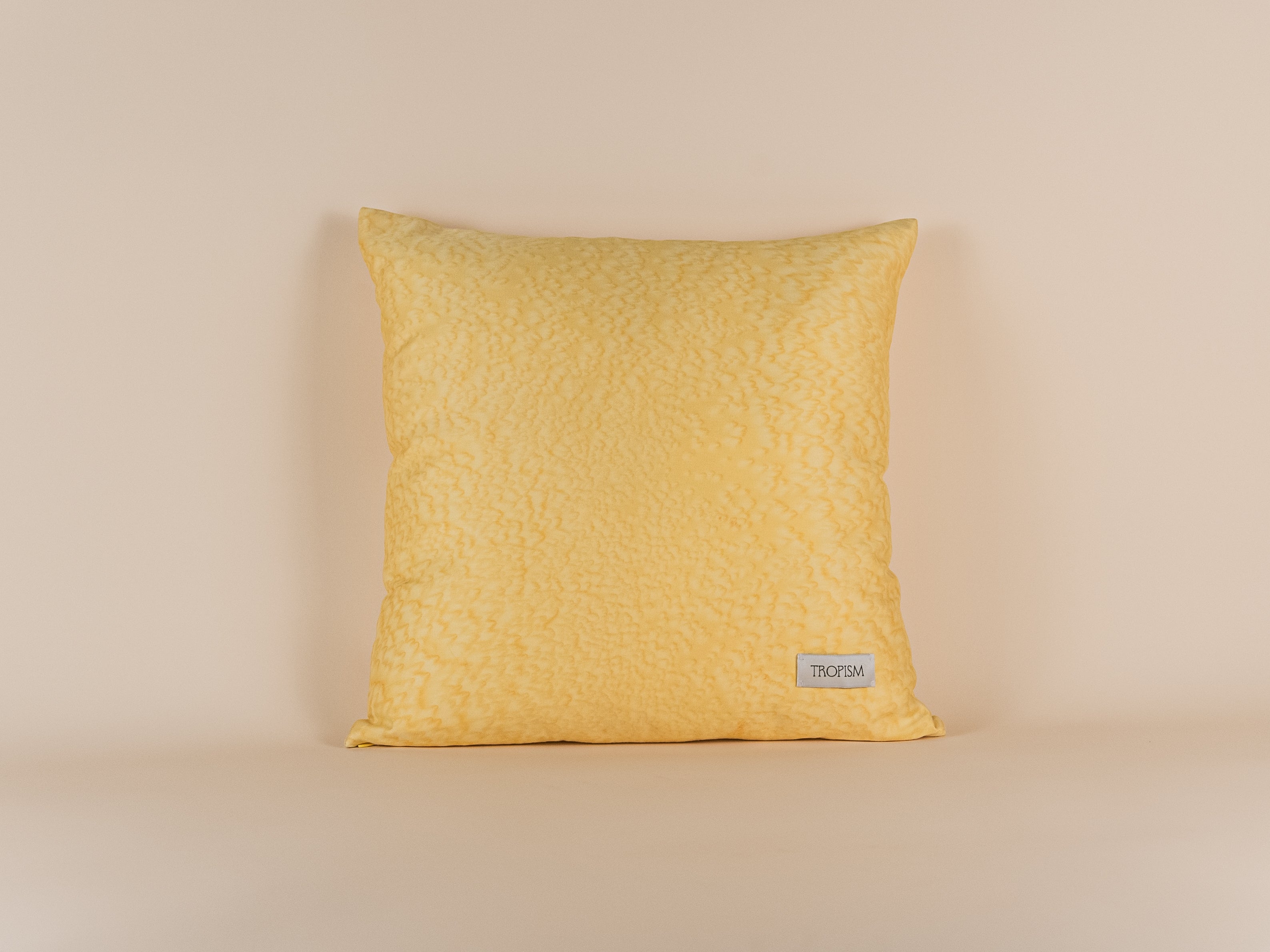 SALTED Batik Cushion